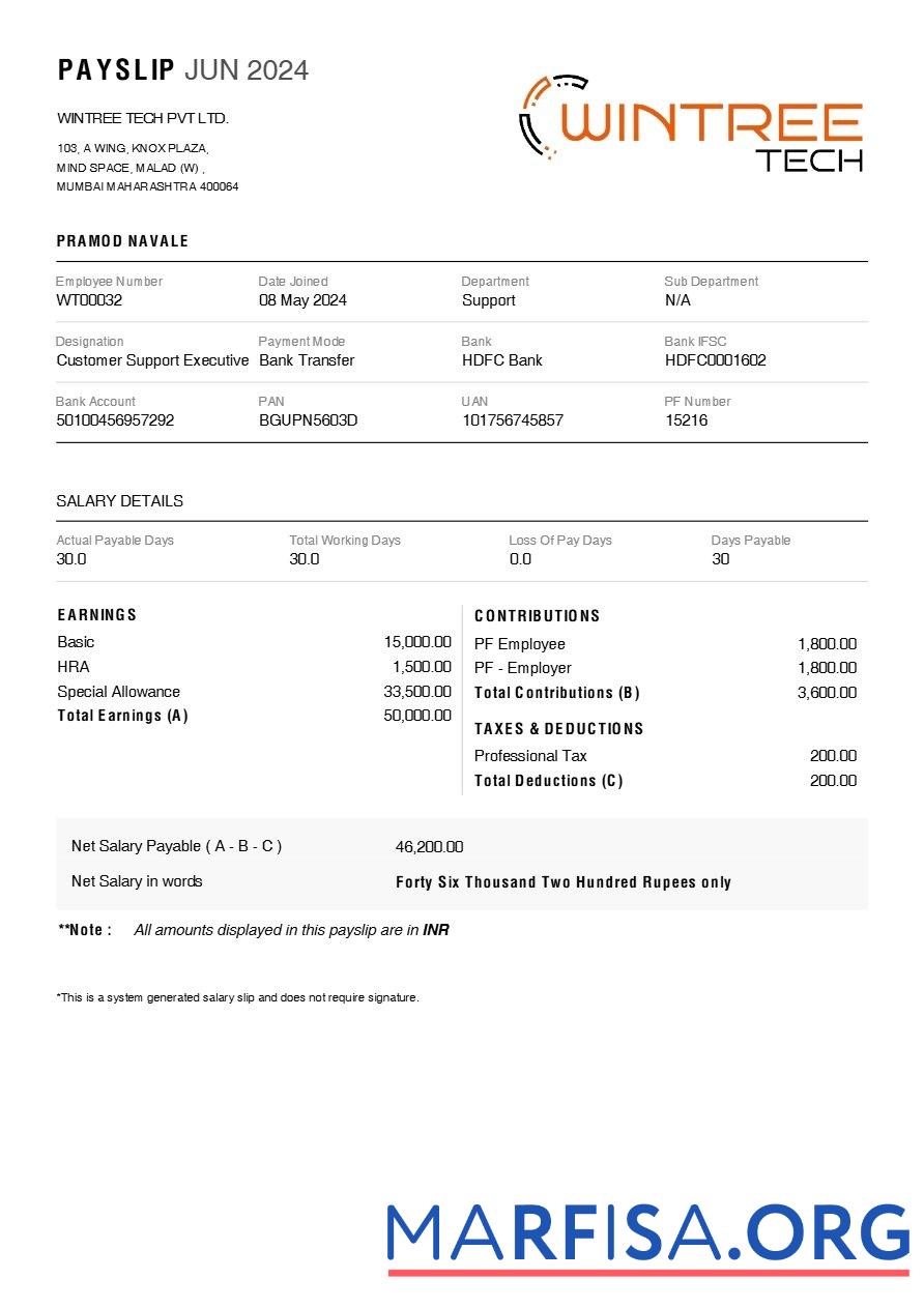 Printable Wintree Tech payslip sample